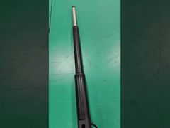 300 কেজি থ্রাস্ট ইনলাইন ডিসি অ্যাকচুয়েটর 12V/24V